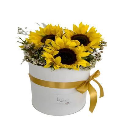 ROUND BOX SUNFLOWERS