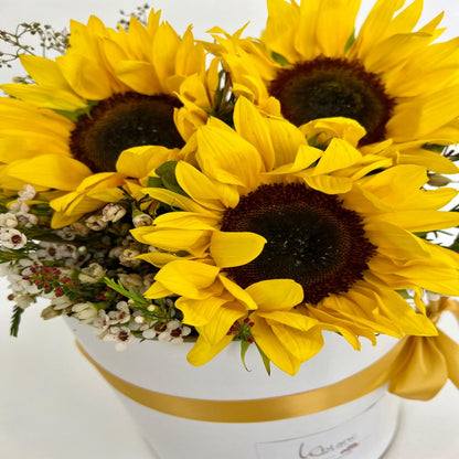 ROUND BOX SUNFLOWERS